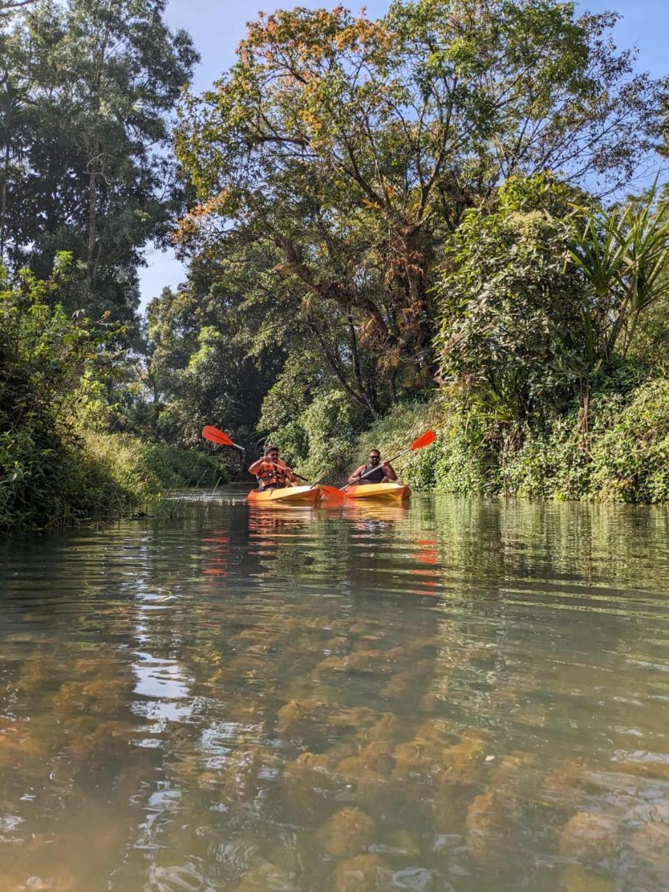 Nature Spot Cottages Coorg Kurchi Экстерьер фото